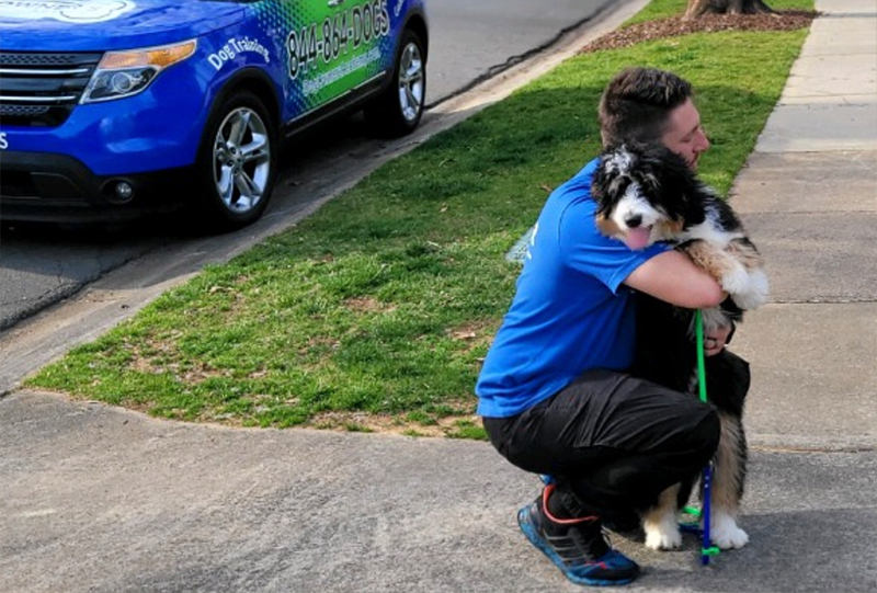 Obedience training in Charlotte, NC