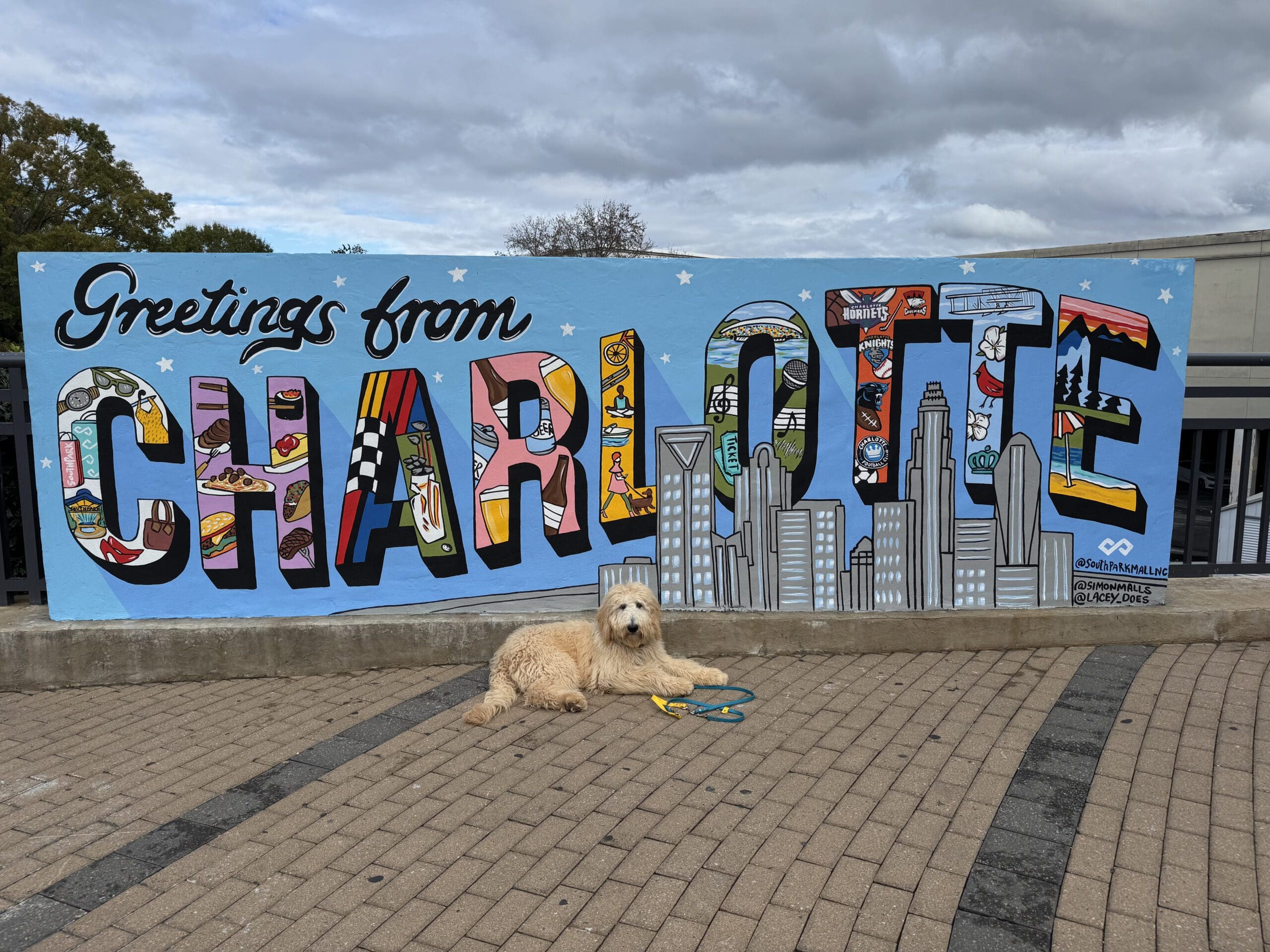 Charlotte, Nc Doa Dog