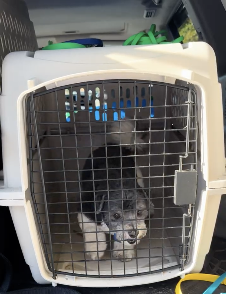 Crate